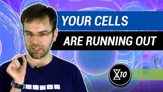 The Hallmarks of Aging: Stem Cell Exhaustion | LifeXtenShow