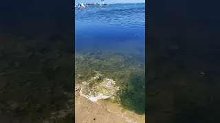 Грязное море в Анапе😨 пляж 17.07.2022