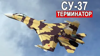 Первый и последний повелитель неба Су-37