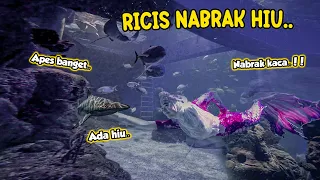 Gak Ada Yang Tau Di Balik Ricis Jadi Mermaid Aquarium!! Sampe Nabrak Hiu Buas!!