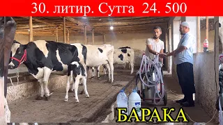 ХАЛИЛБЕК   ЮТУБГА   ЎТ.  Қ, бизда. Вешни Арзон Б😳📞 983617797📞994882353