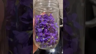 Violet Syrup with Sweet Wild Violets