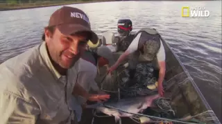 Featured Creature: Monster Fish: American Paddle Fish