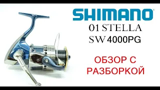 01 STELLA SW 4000PG Полный обзор с разборкой