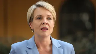 Tanya Plibersek's 'time is now' if she is going to be Labor leader