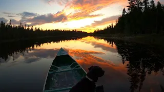 ALONE IN THE ALLAGASH | Overnight Camping Trip with My Dog