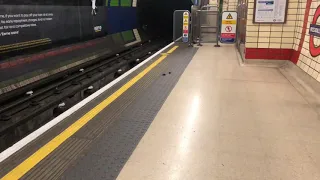 Mice in the London Underground