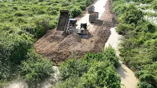 Nice Extreme Big Project Making Road On Forestry Develop Equipment ,Bulldozer SHANTUI Pouring Soiled