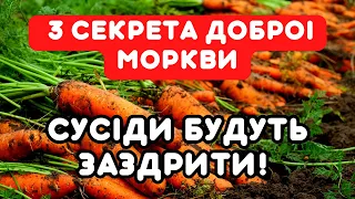 ЗРОБИ ЦЕ ДЛЯ ДОБРОЇ МОРКВИ! 3 прості рекомендації, які реально працюють