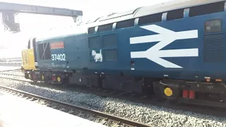 3x Class 37s THRASH departure Oxford Station centre road