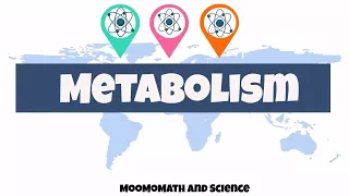 introduction to metabolism | Biology basics|