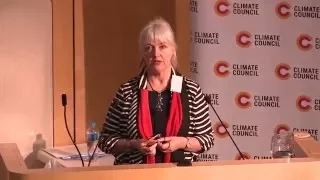 The Australian Panel on Extreme Heat and Health