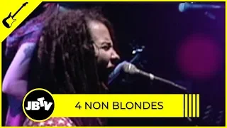 4 Non Blondes - What's Up | Live @ the Vic Theater