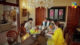 Salaar Javed Qabariya Ka Beta Hai...! Teri Chhaon Mein #danishtaimoor #laibakhurram - HUM TV