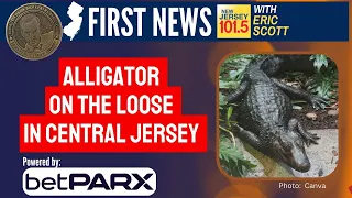 Alligator on the loose in Central New Jersey