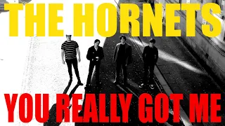 The Hornets - You Really Got Me (Live At Mr Wolfs, Bristol)
