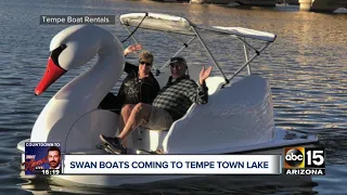 Swan boats coming to Tempe Town Lake