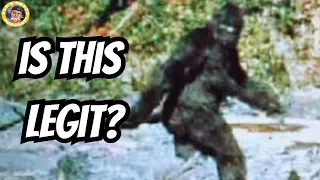 Is This Bigfoot Footage Real? - with Bigfoot Expert Steve Kulls