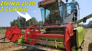 ♪ Żniwa z Rytmem 2020✔ Class Dominator 58✔Bizon Z058✔ Gr Michalosek