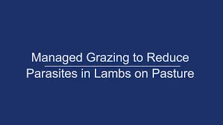 Managed Grazing to Reduce Parasites in Lambs on Pasture