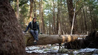 Earth Day Singalong: Nature Tales & Mandolin Melodies