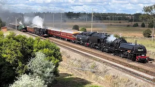「4K60fps」ARTC Great Train Race - Hunter Valley Steamfest 2023