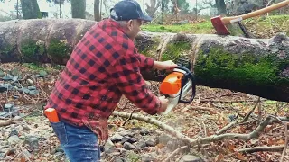 Stihl Ms 462...