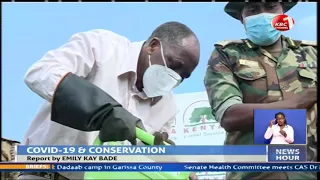 Kenyans stay away from tree planting campaign due to covid-19