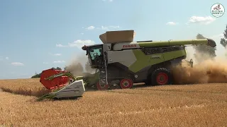 Wintergerste Ernte mit den neuen Claas Lexion 8800, Grain Harvest, Fendt - Multi Agrar Claußnitz