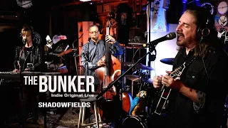 Shadowfields, Bohemian Americana Revival Band - Rock, Swamp Grass - in The Bunker Live