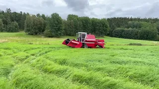 Köp Skördetröska Massey Ferguson 307 på Klaravik