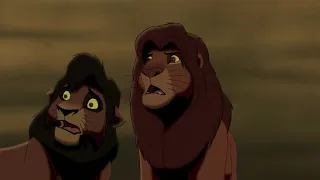 What if Kovu defend Simba from Zira? (Lion.King.AU) ||