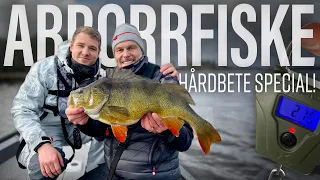 Learn how to catch massive Perch on Hardbaits!