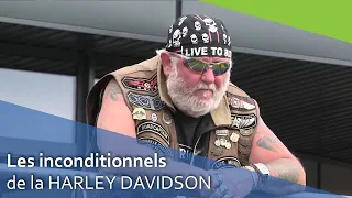 Quimper - Les inconditionnels de la moto Harley Davidson