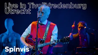 Spinvis live in TivoliVredenburg, Utrecht (4k)