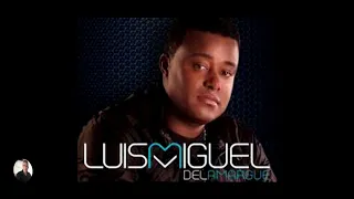 UNA BALA PERDIDA, Luis Miguel Del Amargue