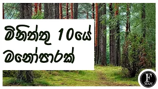 මිනිත්තු 10යේ මනෝපාරක්  | 10 Minutes Natural Relaxing | Sinhala relaxing music | Sinhala Sensation