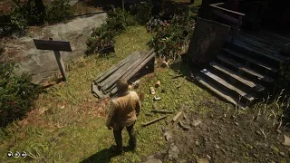 This game surprises me even after 2000 hours of play - RDR2