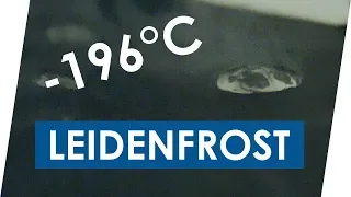 Leidenfrost Effekt mit flüssigem Stickstoff