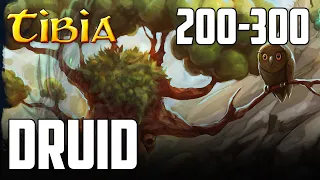 DRUID 200-300LVL. - Tibia - Moja przygoda elder druidem 200-300 - DAMORA