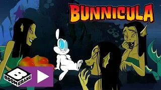 Bunnicula | Helping The Pirates | Boomerang UK 🇬🇧