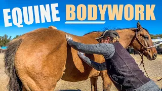 DON'T BELIEVE US? WATCH MY HORSE GET A MASSAGE