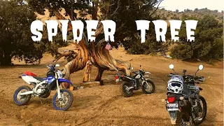 Little Sahara Sand Dunes, Spider Tree, Hill Climb, Motorcycle Luge