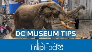 8 Tips for the Smithsonian and FREE museums in DC