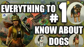 Days after Zombie survival | Everything to know about dogs