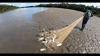 Pesca descomunal de coporo con tarraya, visitamos las bocas de el río Casanare.
