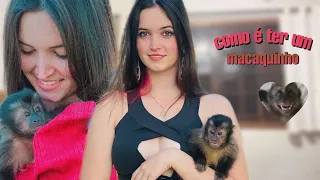 Como é ter um macaquinho