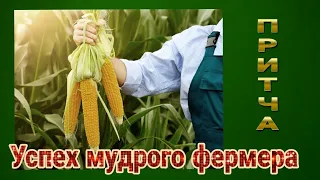 Успех Мудрого Фермера | Притча