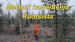 Metsuri harjoittelija Ruotsista