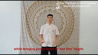 Yang Tai Chi 8 Form Instructional Video 1 (Preparation - 起势 Qi Shi)